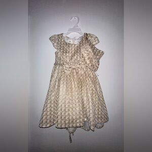 Formal Gold embroidered dress with matching purse.